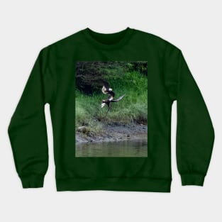 Bald Eagle fight in flight Crewneck Sweatshirt